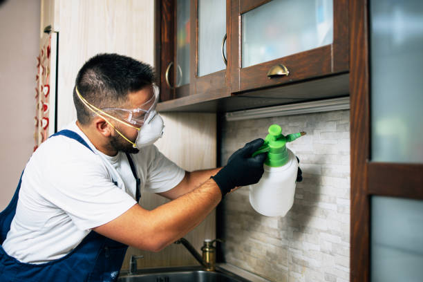 Reliable Charlotte Park, FL Pest Control Solutions