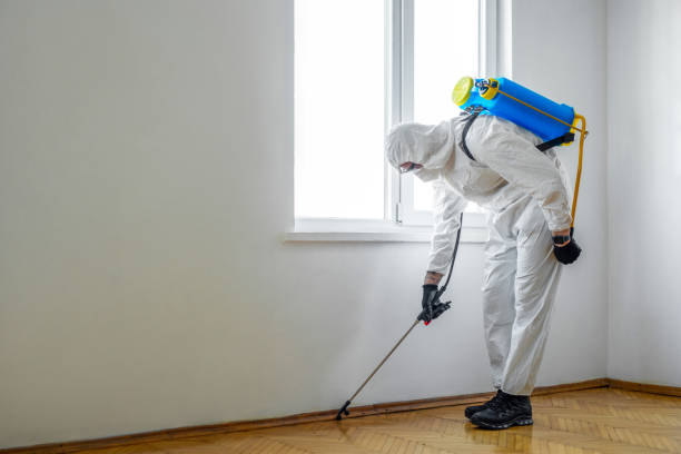 Best Bed Bug Extermination  in Charlotte Park, FL