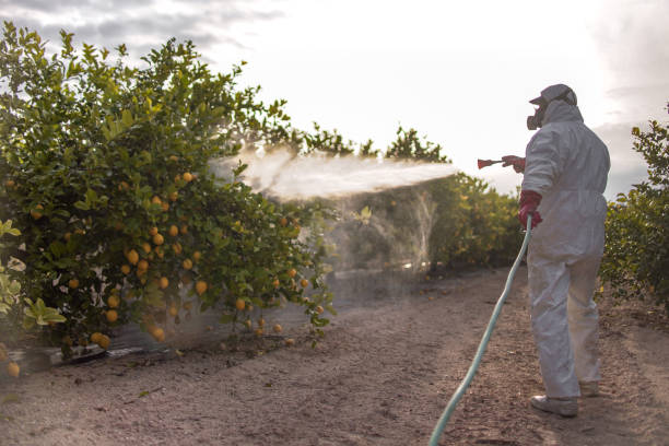 Best Pest Prevention Services  in Charlotte Park, FL