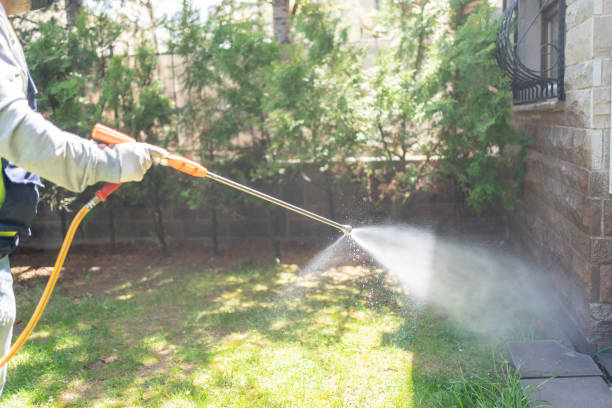 Best Flea Control Services  in Charlotte Park, FL