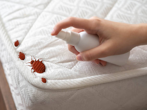 Best Pest Control Near Me  in Charlotte Park, FL