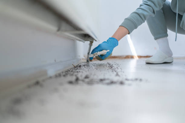 Best Best Pest Control Companies  in Charlotte Park, FL